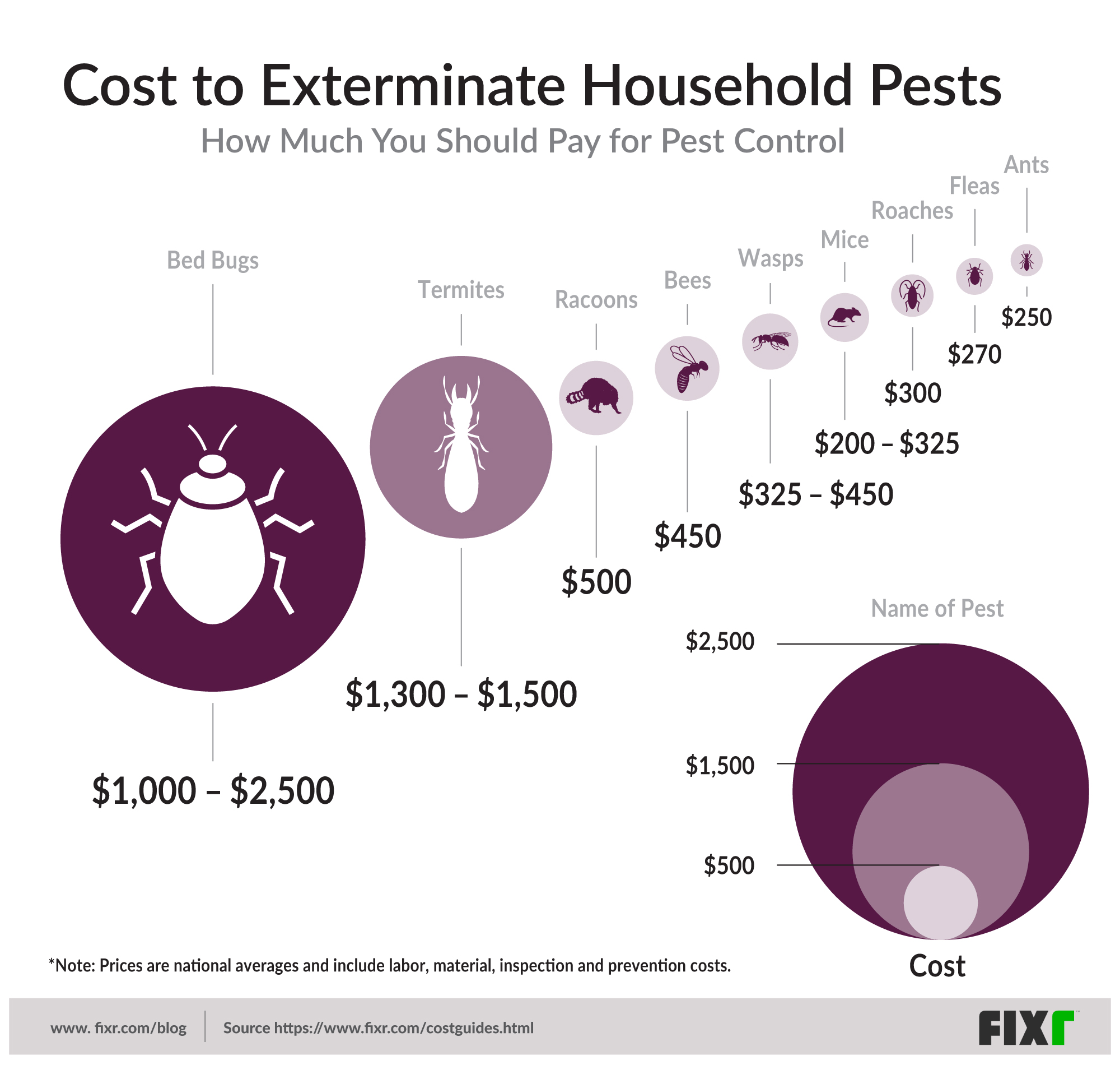 The Least Wanted Guests in Your House (Hint Bed Bugs on Top)
