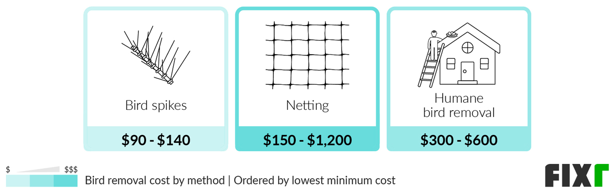 How Much Does Bird Nest Removal Cost in 2024?