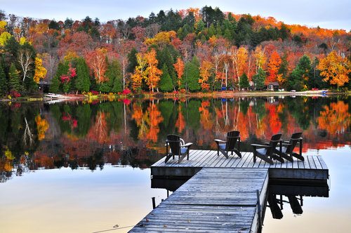 Dock