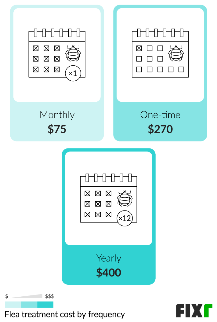 Cost of flea treatment for outlet house