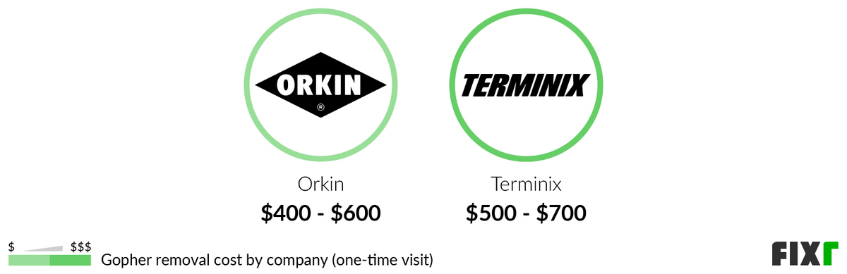 Cost for a one-time visit for gopher removal by Orkin and Terminix (desktop)