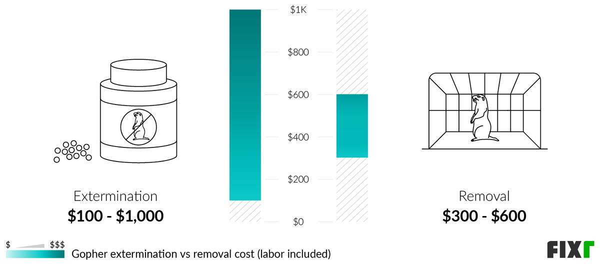 Comparison of the cost to exterminate and remove gophers (desktop)