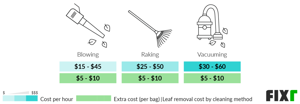 2024 Leaf Removal Costs — Leaf Cleanup & Blowing Prices