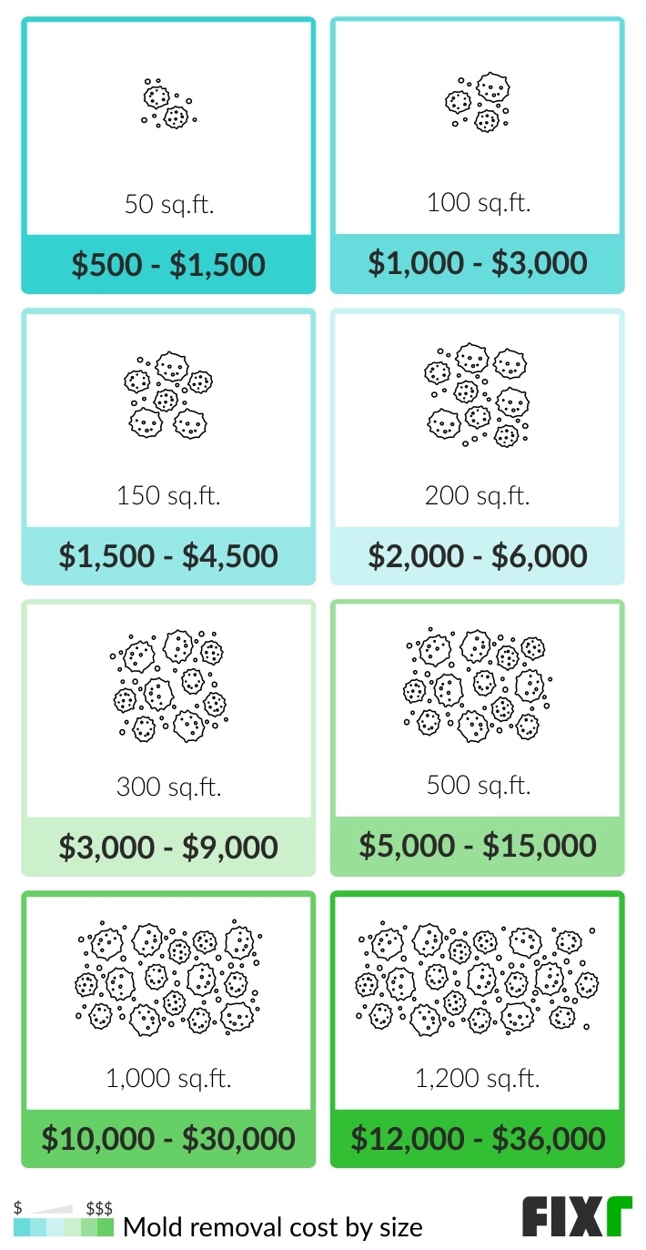  2023 Mold Remediation Cost