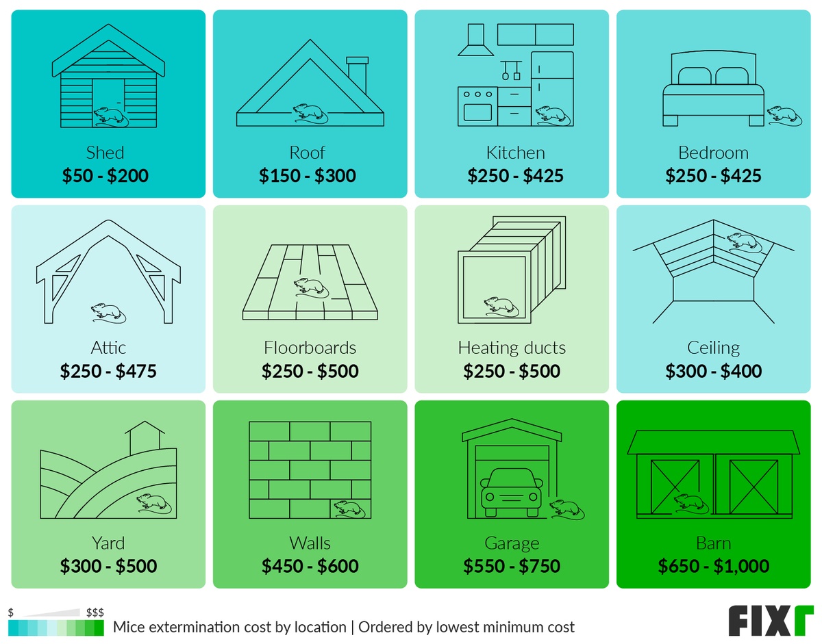 https://assets.fixr.com/cost_guides/mouse-exterminator/mouse-exterminator-6214e4ca85bf8.png