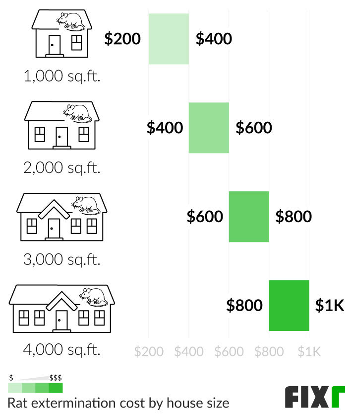 How Much Does a Rat Exterminator Cost in 2024?