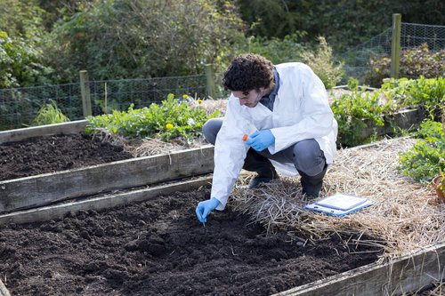 Soil Test