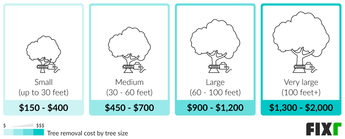 Cost To Chop Down A Tree