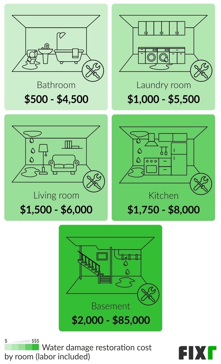 Mold Remdediation Services