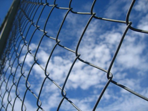 Wire Fence Installation