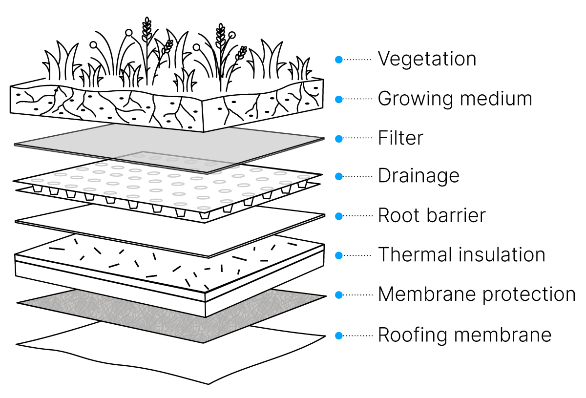 Green Roofs: A Comprehensive Guide | Fixr